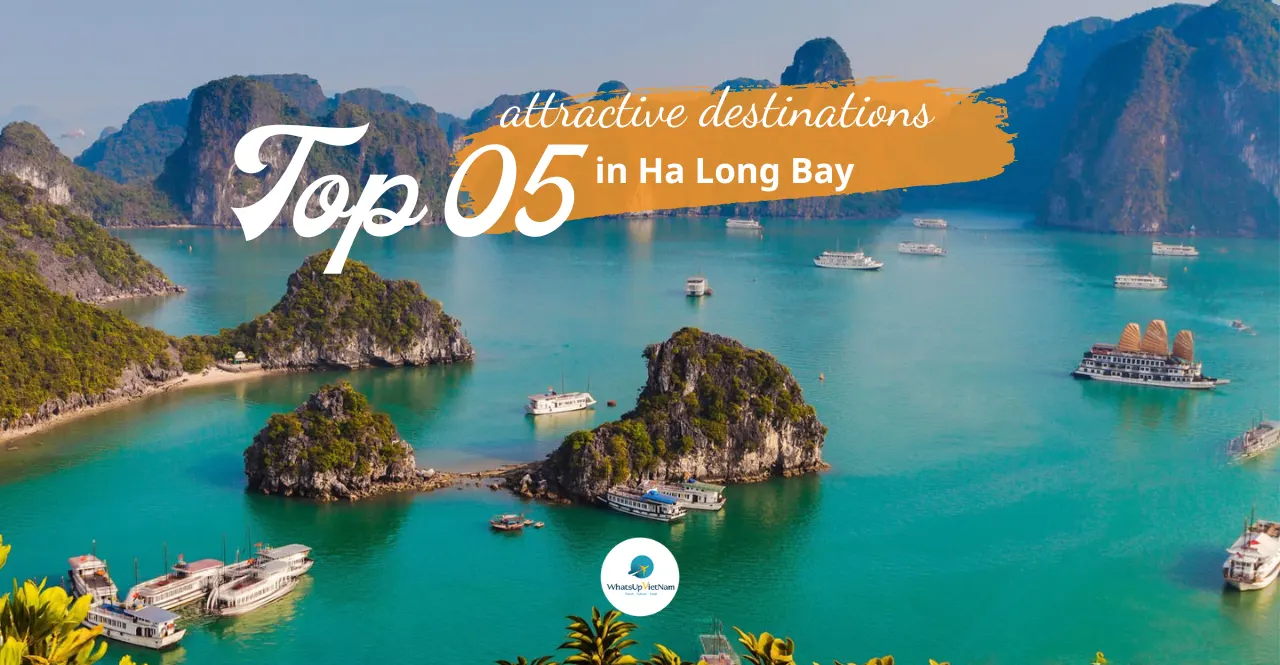 Top 5 attractive destinations in Ha Long Bay WhatsupVietnam